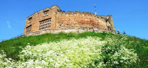 Tamworth destination