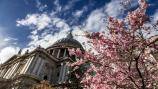 Central London | From £45
