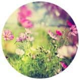 Inspiring short breaks