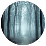 Spooky locations you can visit