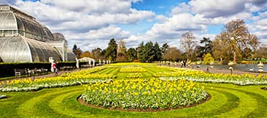 Kew botanical gardens