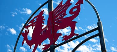 Welsh Dragon Sign