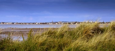 Wetlands Ayr Wetlands Ayr