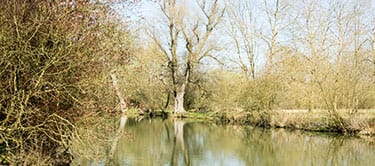 river cherwell river cherwell