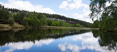 cannock chase cannock chase
