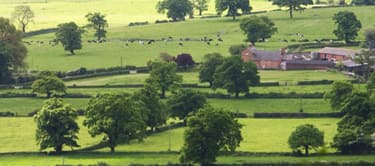 Cheshire countryside