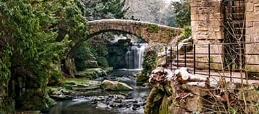 Jesmond Dene Jesmond Dene