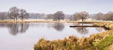 tatton park