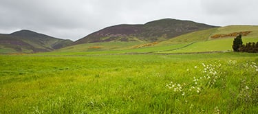 pentland hills