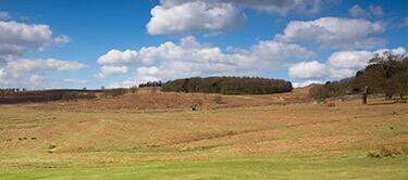 bradgate park