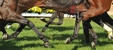 Hotels near Chester Racecourse Hotels near Chester Racecourse