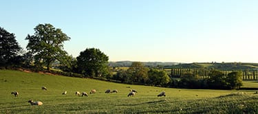 Northamptonshire countryside