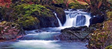 Dartmoor, Devon