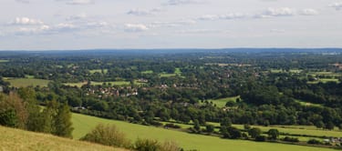 Box Hill, Surrey