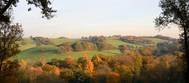 Surrey Hills Surrey Hills