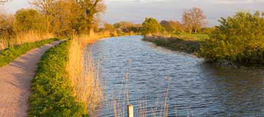 bridgwater and taunton canal